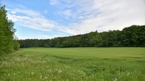 Pilgrimage from Leuven to Basse-Wavre