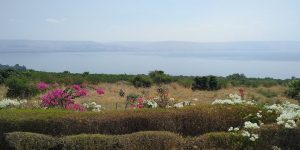 View of the Sea of Galilee